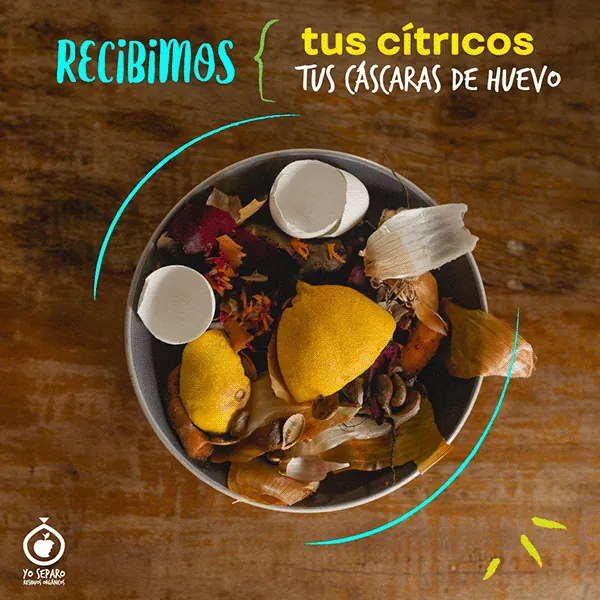 Pieza de Yo Separo sobre cítricos y cáscaras de huevo para compostar.